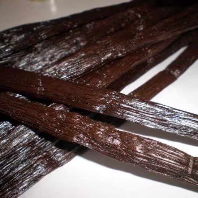 Vanilla