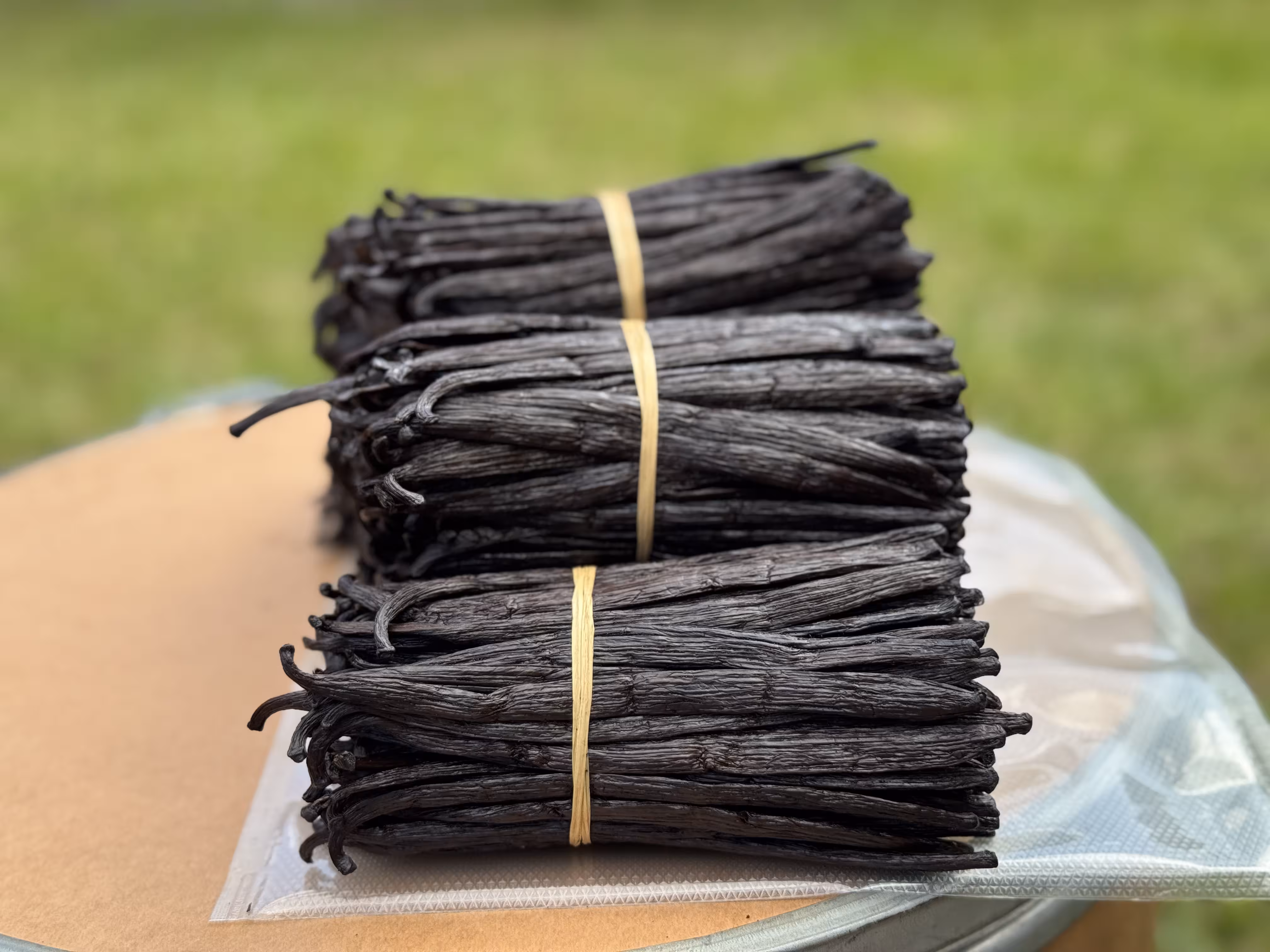 Grade A Vanilla Beans — premium organic export product from Uganda