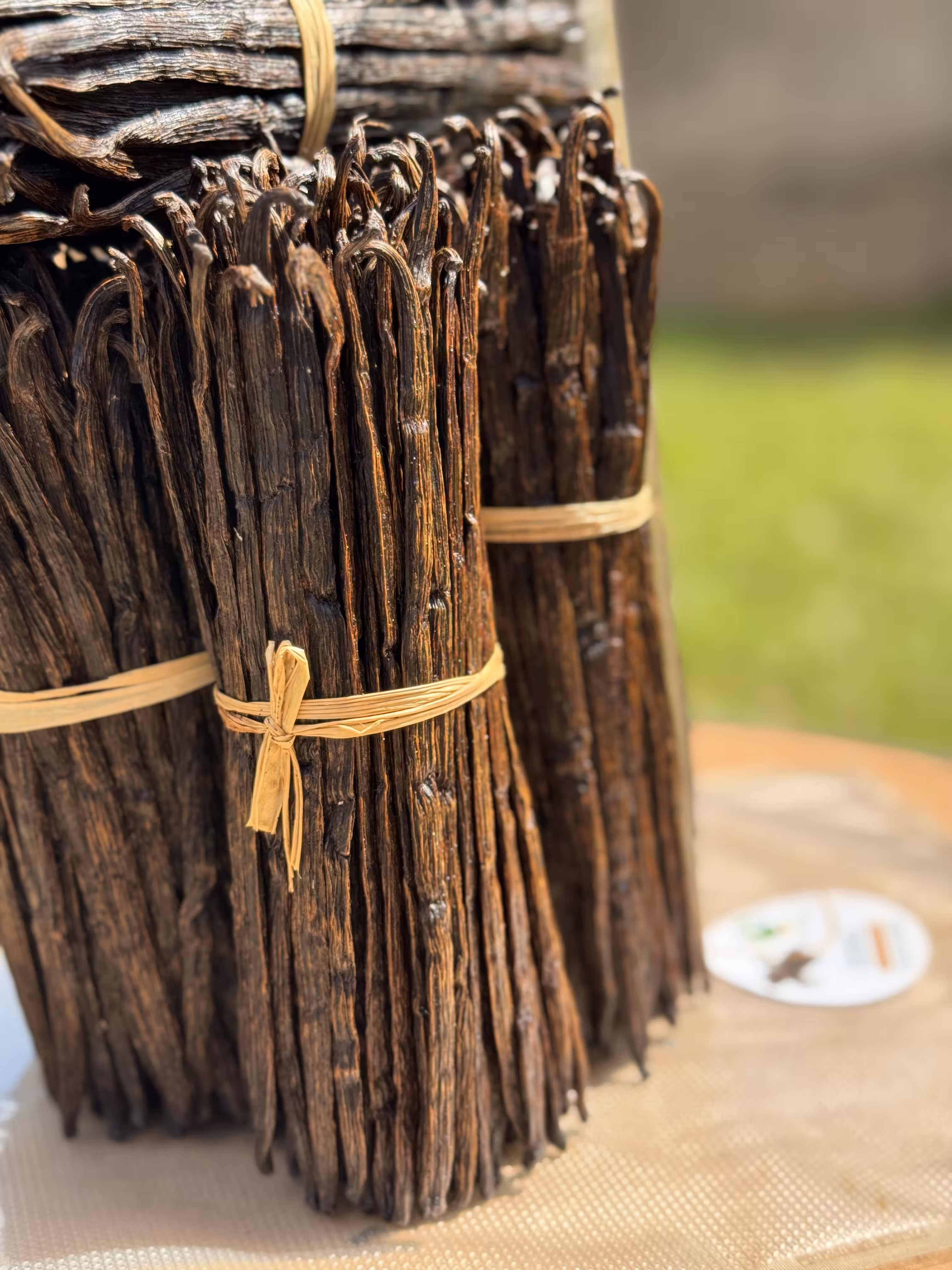 Grade B Vanilla Beans — premium organic export product from Uganda